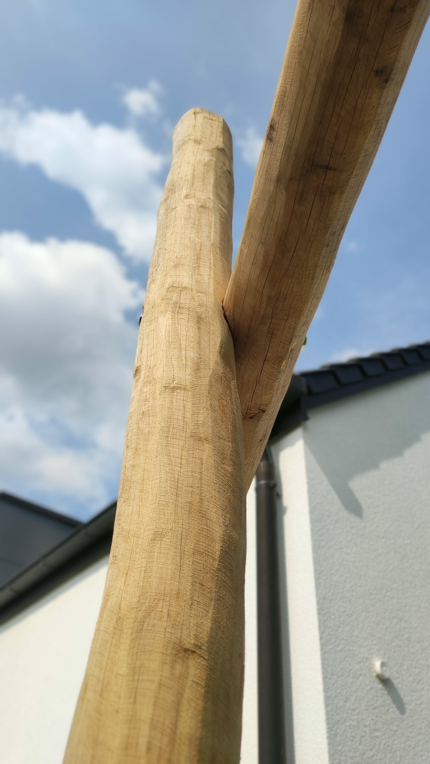 Schaukel aus Robine